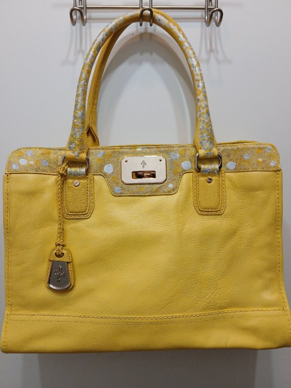 Cole Haan Hand Painted Leather Bag